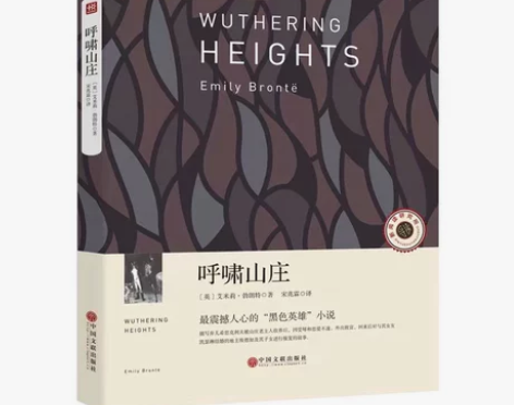 呼啸山庄 正版 最震撼人心的海色英雄小说 ...