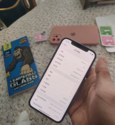 全新机苹果12国行256g资源机，全新机成...