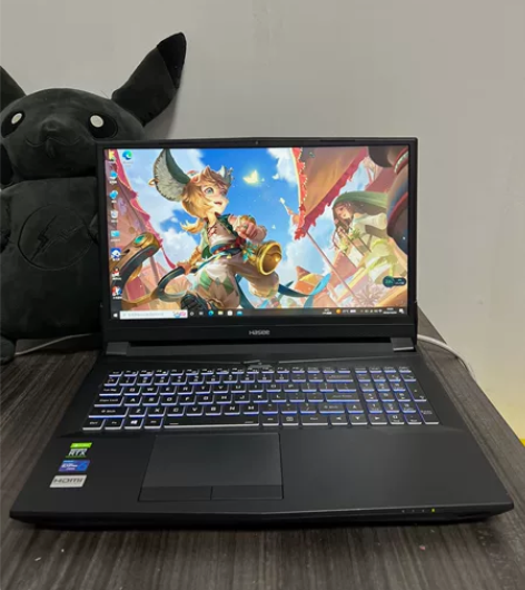 神舟战神十代i7 rtx3060游戏本 处...