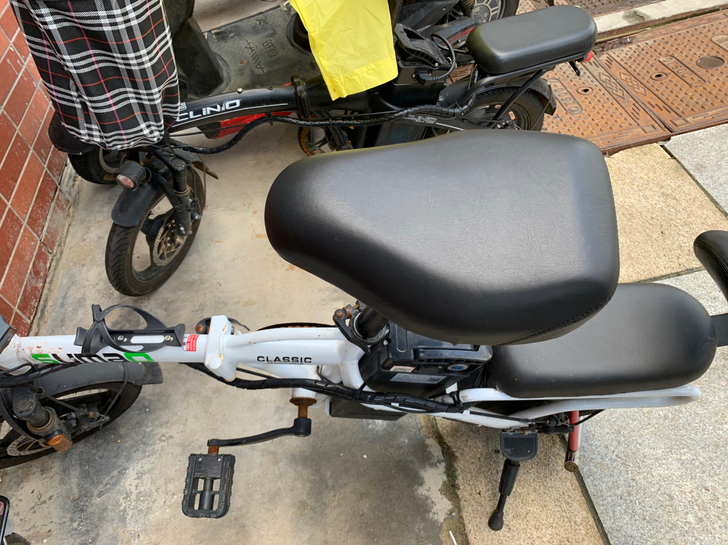 德国名顶电动车 锂电池折叠 使用不到一年 ...