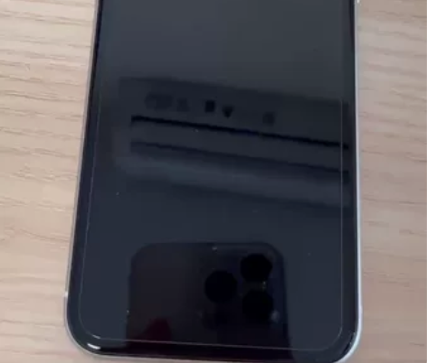 Apple苹果手机iPhone11国行12...