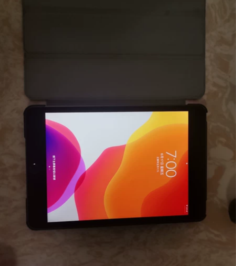Apple/苹果 iPad mini5 2...