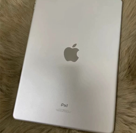 【低价捡漏】学生自用苹果iPad 2019...