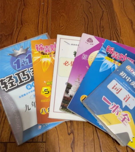 初中英语资料、习题合集大全 轻巧夺冠，锦囊...