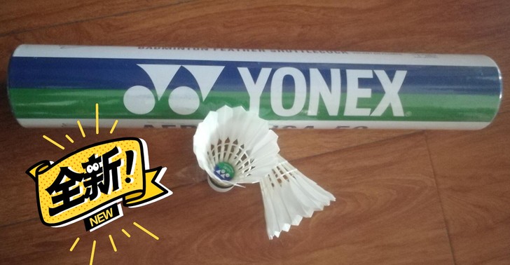 特价羽毛球正品 初学者竞技羽毛球 耐打 训...