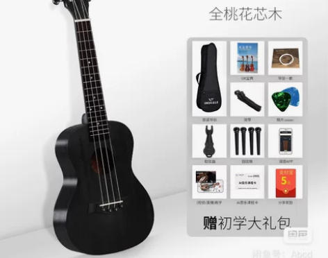 wellburn尤克里里女初学者学生成人男...