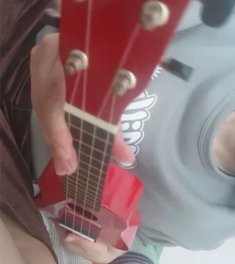 出口澳大利亚品牌红色17寸ukulele尤...