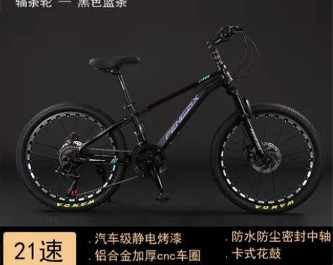 凤之星22寸21速山地车成人/学生男女士变...