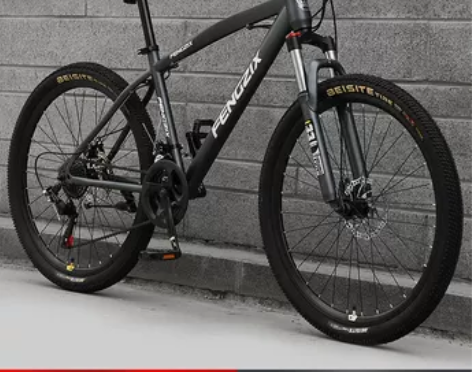 上海凤凰车件有限公司山地自行车成人男女式单...