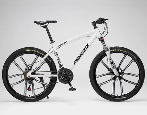 上海凤凰车件有限公司山地自行车成人男女式单...
