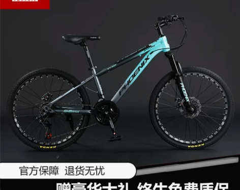 凤凰自行车 上海牌24速成人山地男女学生变