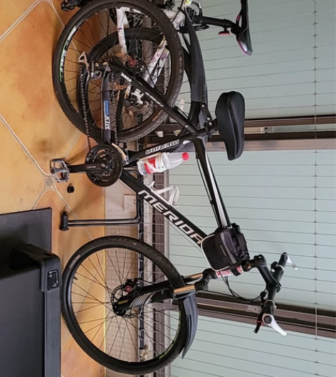 出租，美利达公爵600，川藏318神器，适...