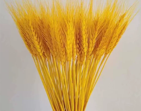 天然金色麦穗干花花束开业大麦客厅田园装饰摆...