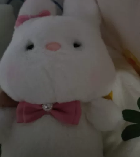 收九号电动滑板车，最好9新无修 感兴趣的话...