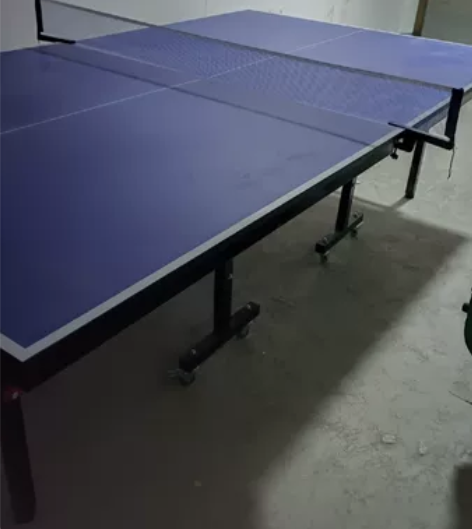 瑞海斯乒乓球桌室内，18桌面40腿带轮，今...