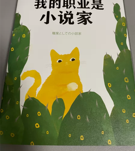 六本书，小说和社科、随笔，纪实，我的职业是...