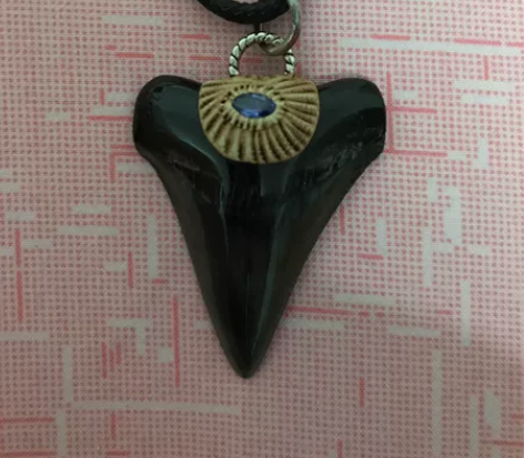 鲨鱼牙 鲨鱼牙化石 吊坠 项链 去南非豪特...