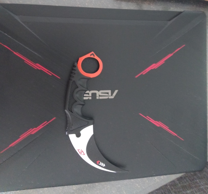 飞行堡垒7 r5 3550h 1650 双...