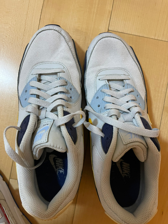 Nike Air Max