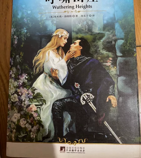 呼啸山庄 书 旧书 感兴趣的话点“我想要”...