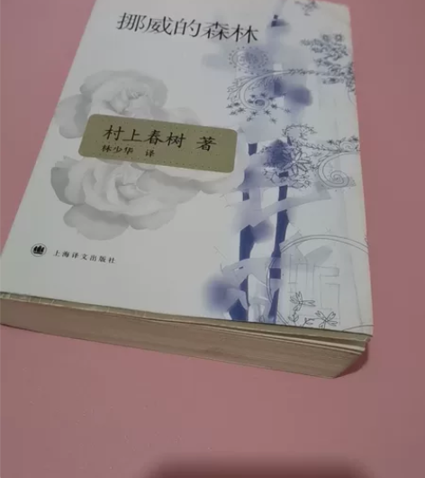 村上春树青春文学#挪威的森林#同城自提简阳...