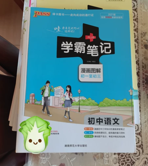 初中全套学霸笔记（无地理生物） 语文数学英...