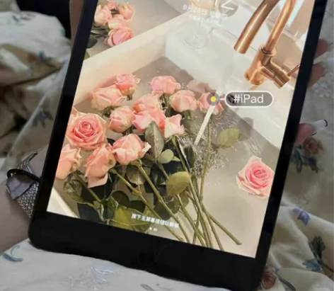 完美iPad  mini5  指纹灵敏  ...