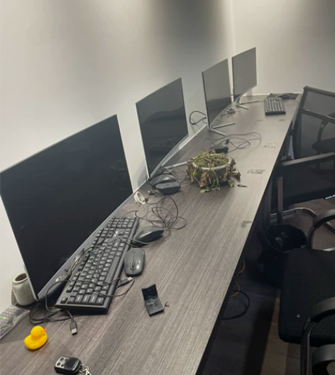 工作室倒闭、需要的联系.24台清一色屏幕。...