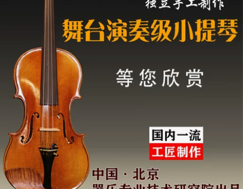 中器音王专业大师演奏级进口料手工小提琴