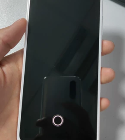 魅族17pro月白天青 外屏碎了 官换定白...