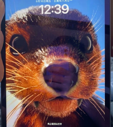 iPadpro 2021款11英寸国行无拆...