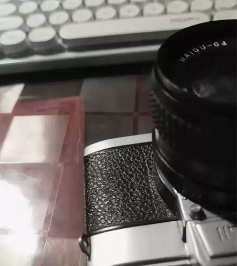 海鸥单反相机，df135，含2个镜头。有皮...