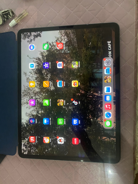 ipad 2021国行买不到一个月保修明年...