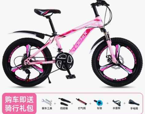 【狂欢价】官方旗舰店凤凰儿童山地车自行车1...