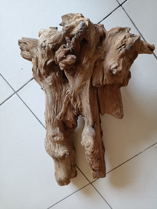 槐树根 ,#根雕#木头#家里空间有限 ,转...