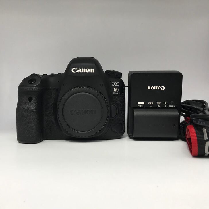 佳能 EOS 6D Mark II