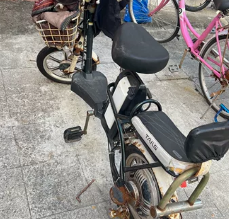 台铃电动车,电池不耐用,一直闲置,闲置前电...