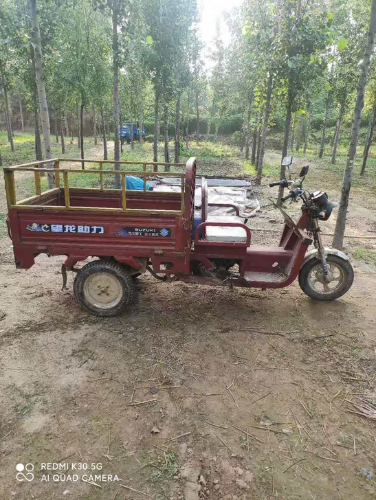 摩托三轮车 16年车，油表，迈表都顶用，跑...