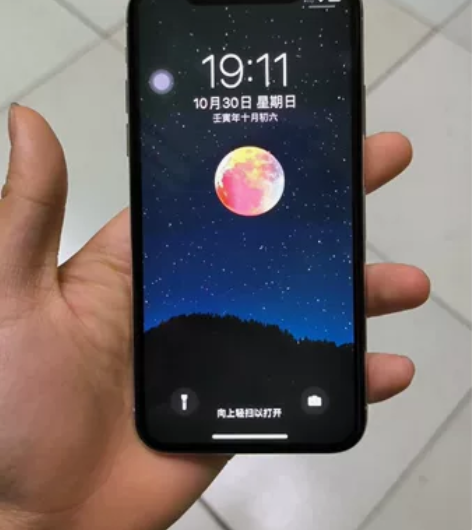 Apple/苹果 iPhone X 什么毛...