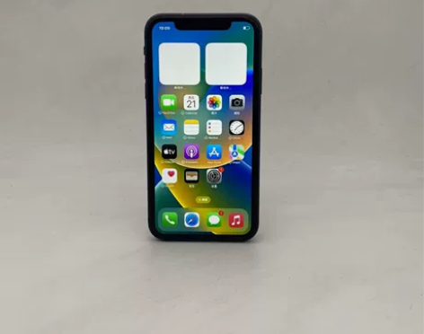 Apple/苹果 苹果 iPhone 11...