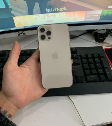 iPhone 12 Pro大陆国行256G...