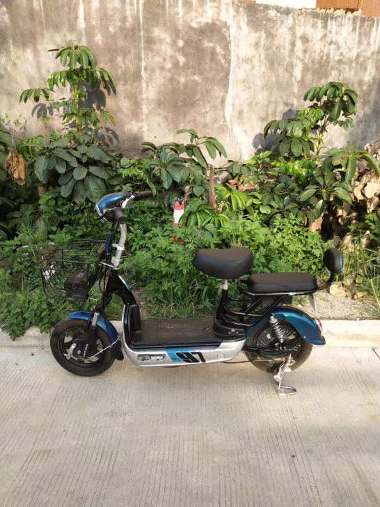 二手绿源电动车