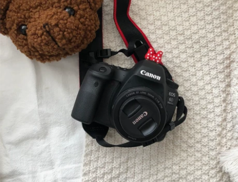 佳能（Canon)6D Mark II24...