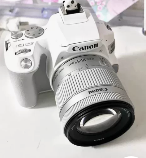 二代照相机单反相机 仅限自提