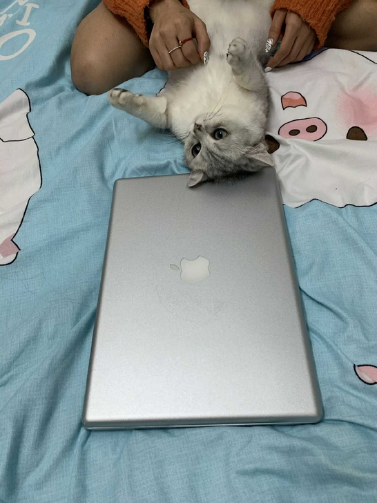 个人使用的笔记本。