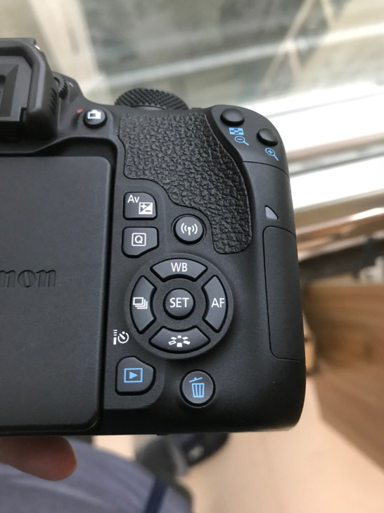 长期出售佳能800D 质保3个月