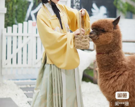 标价收都城南庄小狐狸一套,L码,两种颜色都...