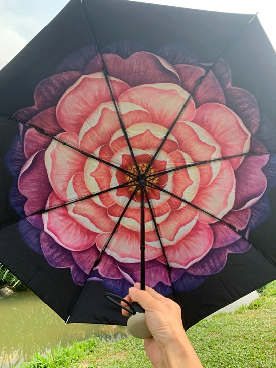 双层蕉下。全新，个人闲置还有几把，有的有有...