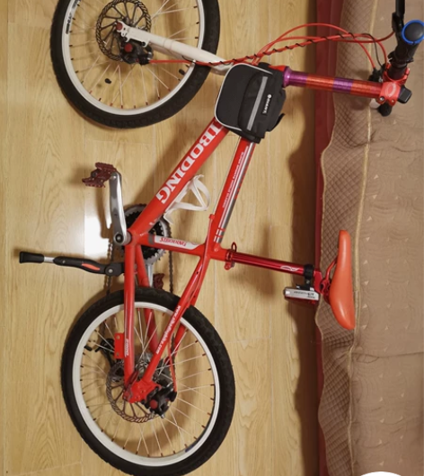 20寸儿童自行车，DIY的，当年给娃配的，...