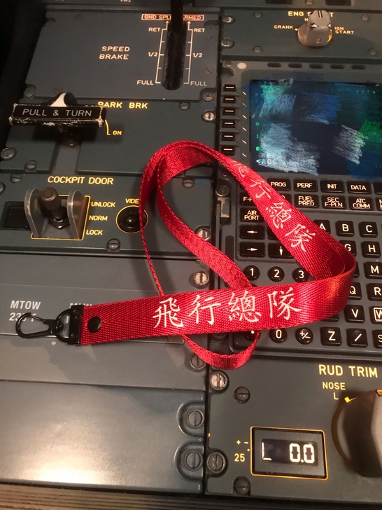 航空钥匙挂绳，证件挂绳，带子非常结实，承重...